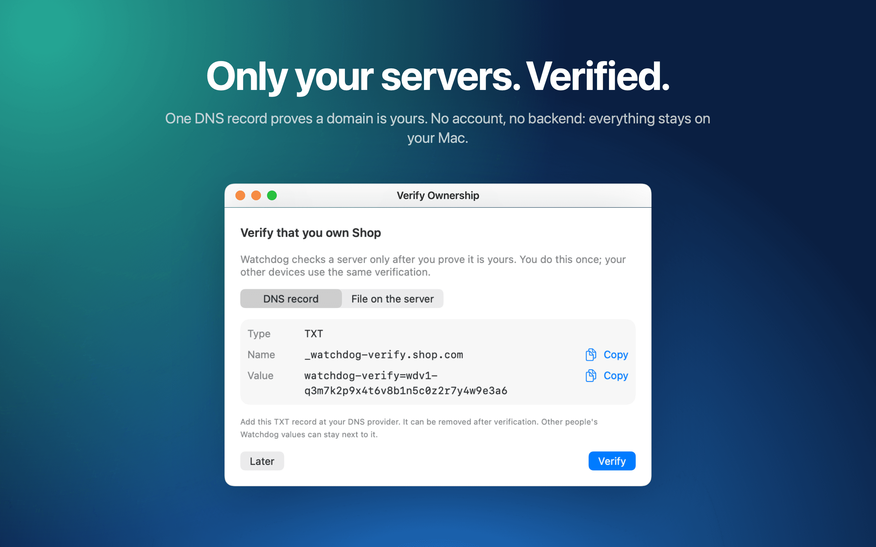 The ownership verification window with the DNS TXT record